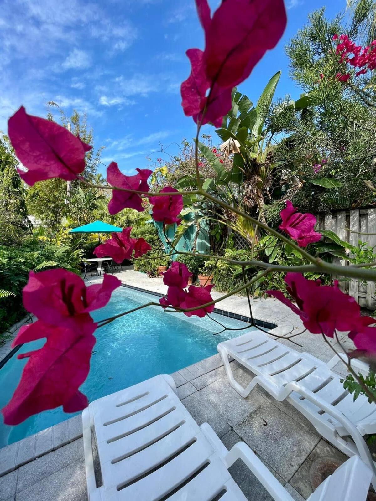 Delight And Cozy Apt Close To Las Olas & The Beach Fort Lauderdale Exterior foto